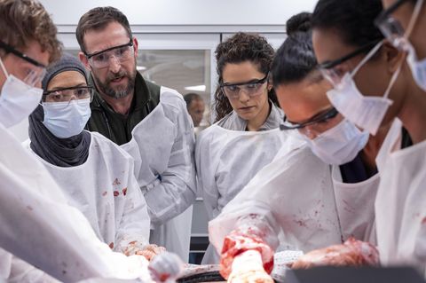 Noah Wyle spielt in der Serie "The Pitt" einen überlasteten Notaufnahme-Arzt.