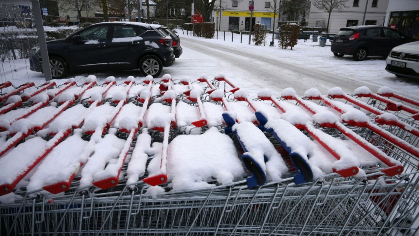 Einkaufswagen vor Supermarkt in Berlin