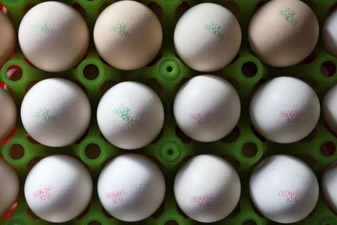 Das heimische Futter reicht nicht, um die Nachfrage nach Bio-Eiern zu bedienen. Deshalb sind die Bauern auf Importe angewiesen.