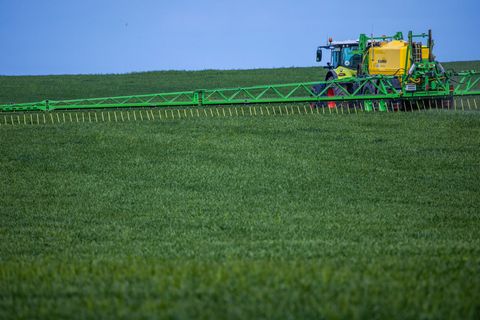 Mecklenburg-Vorpommerns Agrarminister Till Backhaus (SPD) hat die Düngelandesverordnung aufgehoben. (Archivbild) Foto: Jens Bütt
