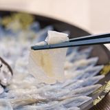 Nach dem Verzehr von Fugu kann es zunächst zu einem Kribbeln auf Zunge und Lippen kommen. Später folgen oft Kopfschmerzen, Übelkeit und Erbrechen. Im schlimmsten Fall versagen die Muskeln – es droht Atemlähmung. In Europa ist der Verzehr deshalb verboten. In Asien gilt Fugu trotz des Risikos als Delikatesse. Bei der Zubereitung werden die giftigen Organe entfernt und nur das sichere serviert. Trotzdem gibt es immer wieder tödliche Zwischenfälle.