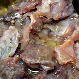 Auch bei Fesikh, einem fermentierten Fischgericht aus Ägypten, besteht Gesundheitsgefahr. Wird der Graubarbenfisch nicht fachgerecht zubereitet oder zu wenig gesalzen, können sich gefährliche Bakterien bilden. Diese können Vergiftungen wie Botulismus auslösen – mit Symptomen wie Übelkeit, Lähmungen und im schlimmsten Fall tödlichem Ausgang. Zum Frühlingsfest Sham el-Nessim wird Fesikh traditionell gegessen – und jedes Jahr landen danach Menschen im Krankenhaus.