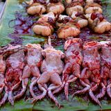 Auch beim afrikanischen Ochsenfrosch kommt es auf die richtige Zubereitung an. Wird das Fleisch nicht gründlich gekocht oder der Frosch zum falschen Zeitpunkt gefangen, drohen Vergiftungen. Mögliche Folgen sind Reizungen der Haut und Schleimhäute bis hin zu Nierenversagen. In Afrika wird der Ochsenfrosch traditionell erst nach der Paarungszeit gefangen und gegessen – dann soll er weniger giftig sein.