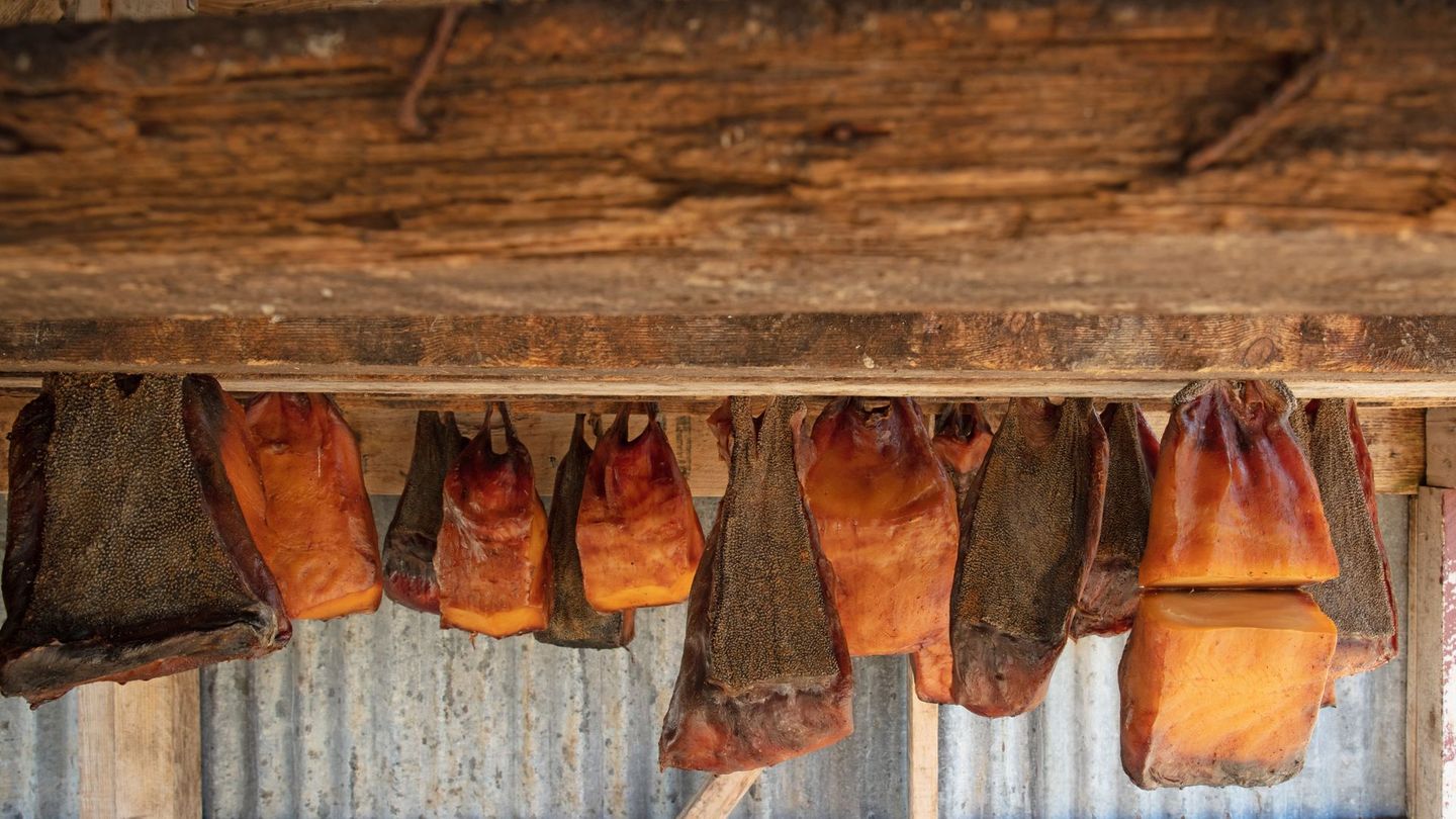 Der Grönlandhai hat keinen Harntrakt und kann deshalb keinen Urin ausscheiden. Die Abfallstoffe bleiben im Blut, wodurch das Fleisch giftig wird. Erst nach einer halbjährigen Fermentation ist es genießbar. Während dieses Reifeprozesses wird das Gift abgebaut – dabei entsteht allerdings Ammoniak, was für den starken, unangenehmen Geruch sorgt. Wer das Gericht zu früh isst, riskiert ernsthafte Nebenwirkungen.