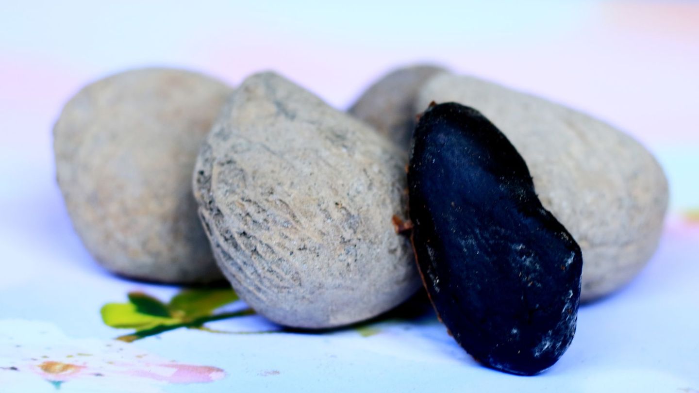 Damit Pangium edule unbedenklich verzehrt werden kann, wird die Frucht zunächst mehrere Tage in frischem Wasser eingeweicht. Anschließend wird sie gekocht, in Bananenblätter gewickelt und für einige Wochen in der Erde vergraben. Während dieser Zeit verändert sich die ursprünglich cremeweiße Fruchtfarbe zu tiefschwarz – ein Zeichen dafür, dass die Blausäure abgebaut wurde. Danach können die Samen zu Pulver gemahlen werden.