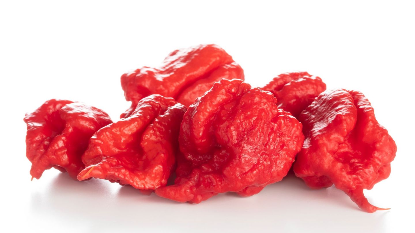 Besonders wer nicht an scharfes Essen gewöhnt ist, kann beim Chili-Verzehr mit starken Reaktionen rechnen – etwa Schwitzen, Übelkeit, Durchfall oder Erbrechen. Die "Dragon's Breath Chili" gilt als schärfste Chili der Welt und wurde ursprünglich nur medizinisch als Betäubungsmittel genutzt. Schon eine kleine Menge kann einen anaphylaktischen Schock auslösen. Daher gilt: besser nicht probieren.