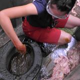 Während Hardy und Simone in Kisten mit jeweils 15 riesigen Pythons ausharren, stromert Samira übers Festivalgelände und sucht insgesamt zwölf Schlüssel. Mit denen können die Sterne befreit werden, die an Schlössern in den Kisten befestigt sind. Insgesamt holen die Drei zusammen sechs von acht Sternen