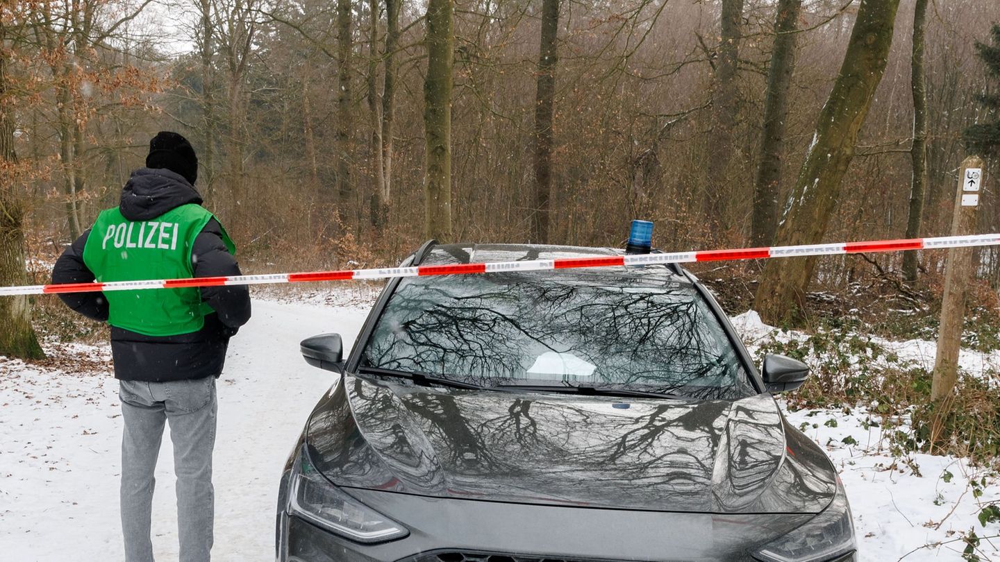 In einem Waldstück sucht die Polizei nach einer Leiche. Foto: Markus Scholz/dpa