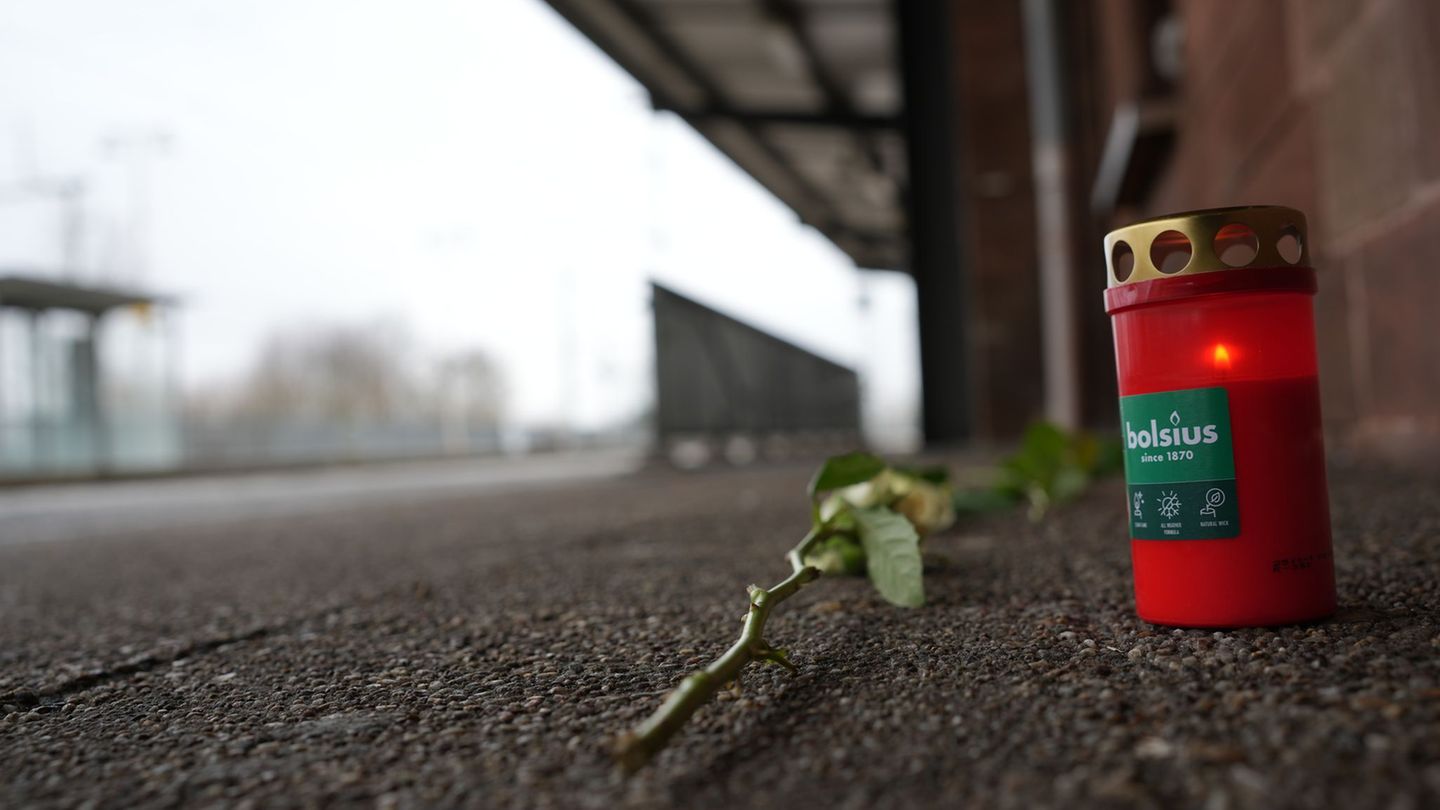 Der Zugbegleiter starb an einer Hirnblutung. Foto: Patrick von Frankenberg/dpa