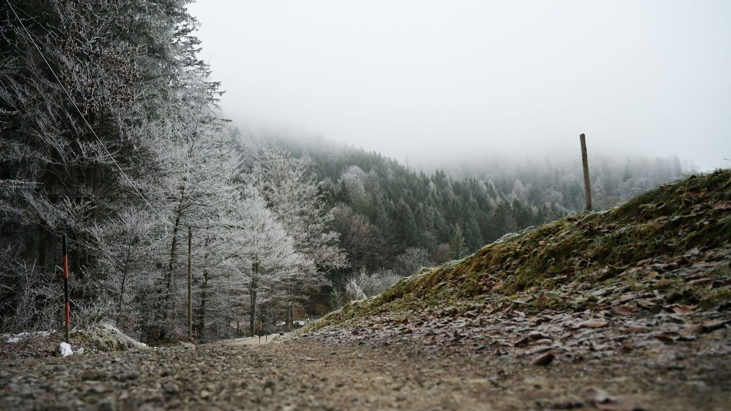 Die Wetteraussichten sind trist. (Symbolbild) Foto: Malin Wunderlich/dpa