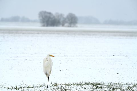 Das ungemütliche Winterwetter hält weiter an. (Symbolbild) Foto: Lars Penning/dpa