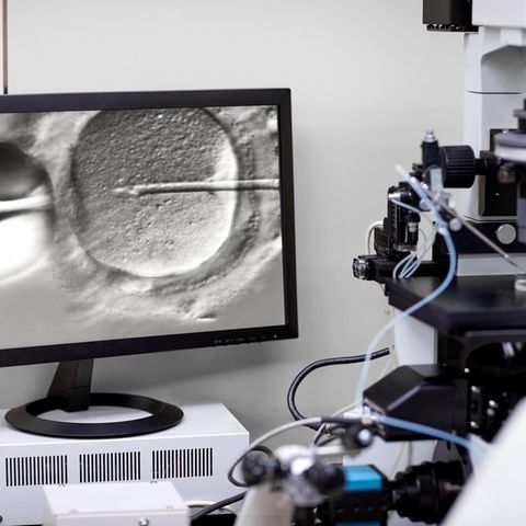 Künstliche Befruchtung: Social Freezing