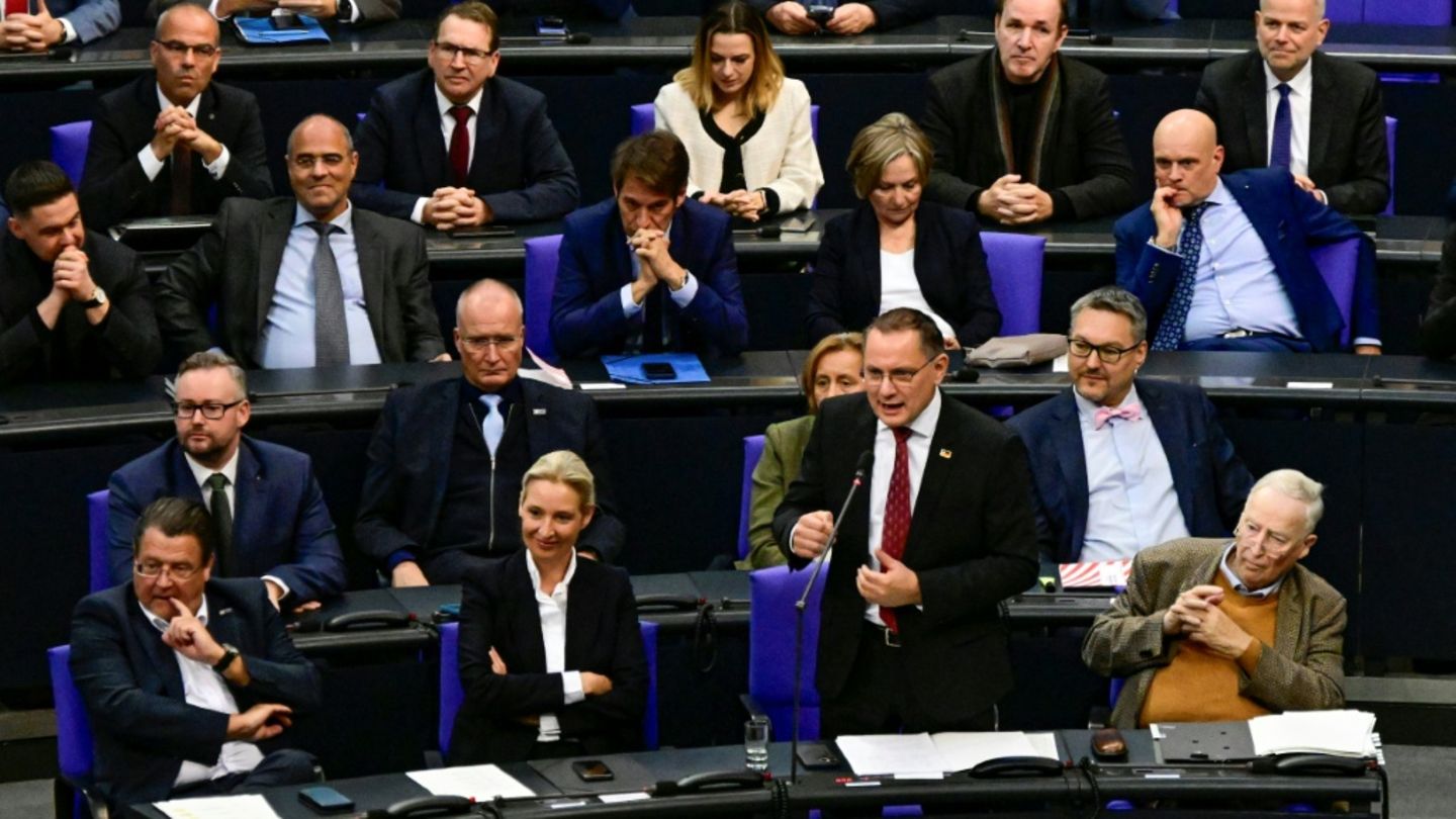 Mitglieder der AfD-Fraktion im Bundestag