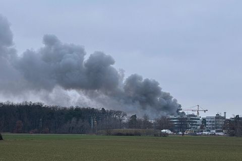 Die Rauchsäule des Brandes auf dem Gelände des GSI Helmholtzzentrums für Schwerionenforschung ist weithin zusehen. Foto: Mike Se