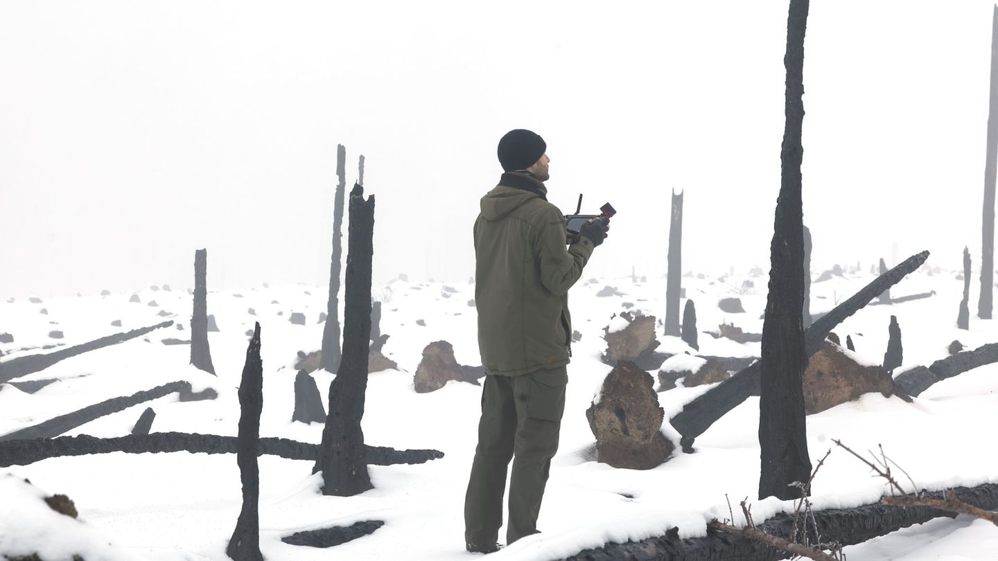 Verkohlte Baumreste künden noch vom großen Waldbrand auf der Saalfelder Höhe, auf der eine Drohne Baumsaat zur Wiederaufforstung
