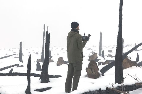 Verkohlte Baumreste künden noch vom großen Waldbrand auf der Saalfelder Höhe, auf der eine Drohne Baumsaat zur Wiederaufforstung