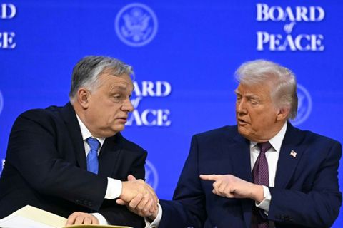 Orban (li.) und Trump in Davos