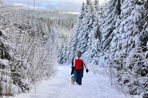 Das stabile Winterwetter mit genügend Schnee lockt viele Besucher in den Harz. (Archivbild) Foto: Matthias Bein/dpa