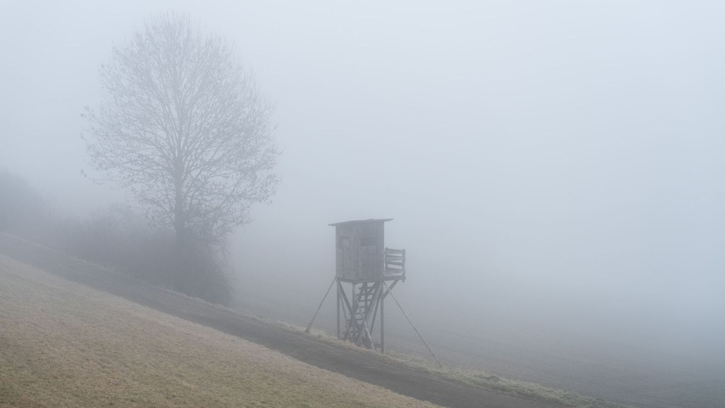 In vielen Teilen Bayerns wird Nebel erwartet. Foto: Silas Stein/dpa