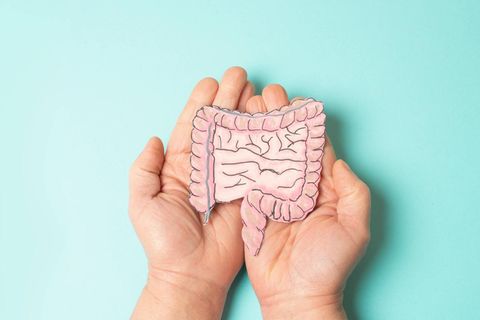 Darmkrebsvorsorge Zwei Hände halten eine Zeichung