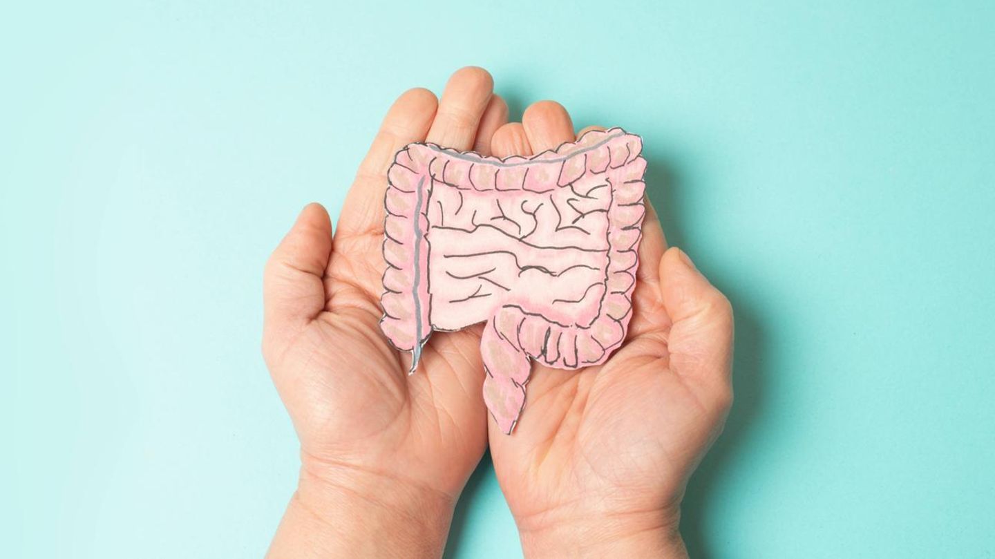 Darmkrebsvorsorge Zwei Hände halten eine Zeichung