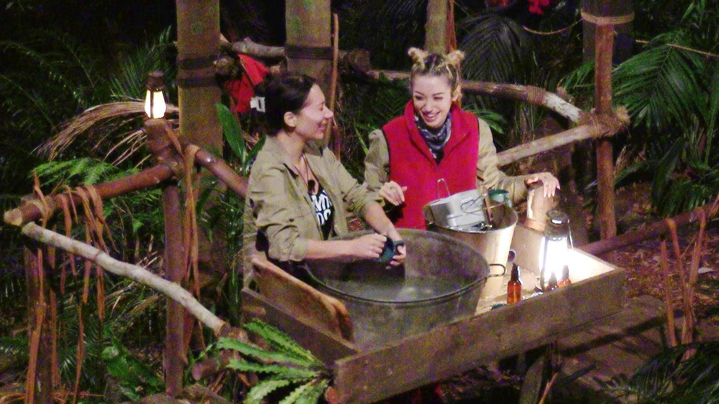 Dschungelcamp