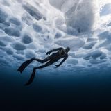 Tauchen in feindlicher Umgebung: Ohne Atemgerät erkundet ein Freitaucher die in Blau- und Grautönen leuchtende Eisdecke des mehr als 300 Kilometer langen Huronsees (Ontario, Kanada) von unten: für die Jury der erste Platz in der Kategorie "Kaltwasser"