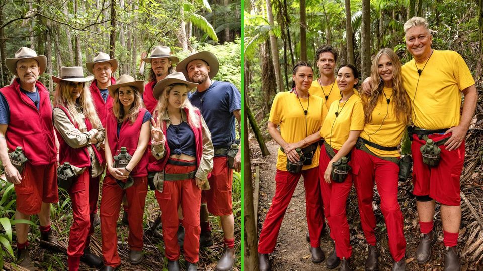 Die RTL-Dschungelcamp-Kandidaten 2026