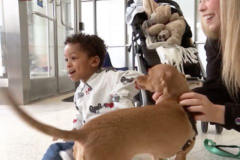 Der kleine Cameron und der Hund Panini spielen gemeinsam.