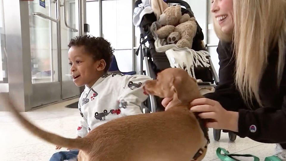 Der kleine Cameron und der Hund Panini spielen gemeinsam.