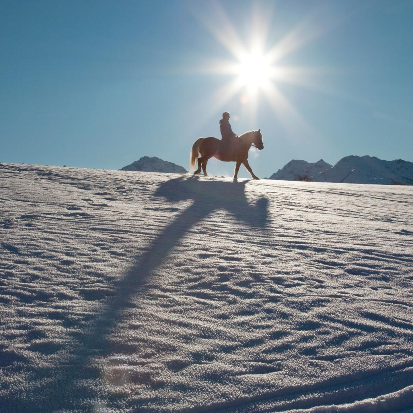 Ein Reiter im Schnee