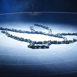 Ein immer wiederkehrendes: Frieden in der Welt, vermittelt und symbolisiert durch den Sport. Möge der Appell gehört werden