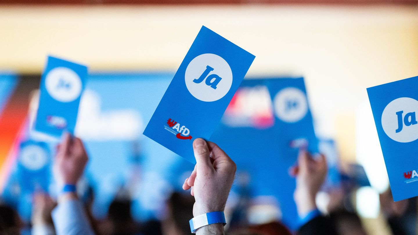 In Königs Wusterhausen hat sich der Landesverband der Generation Deutschland gegründet. Foto: Christophe Gateau/dpa