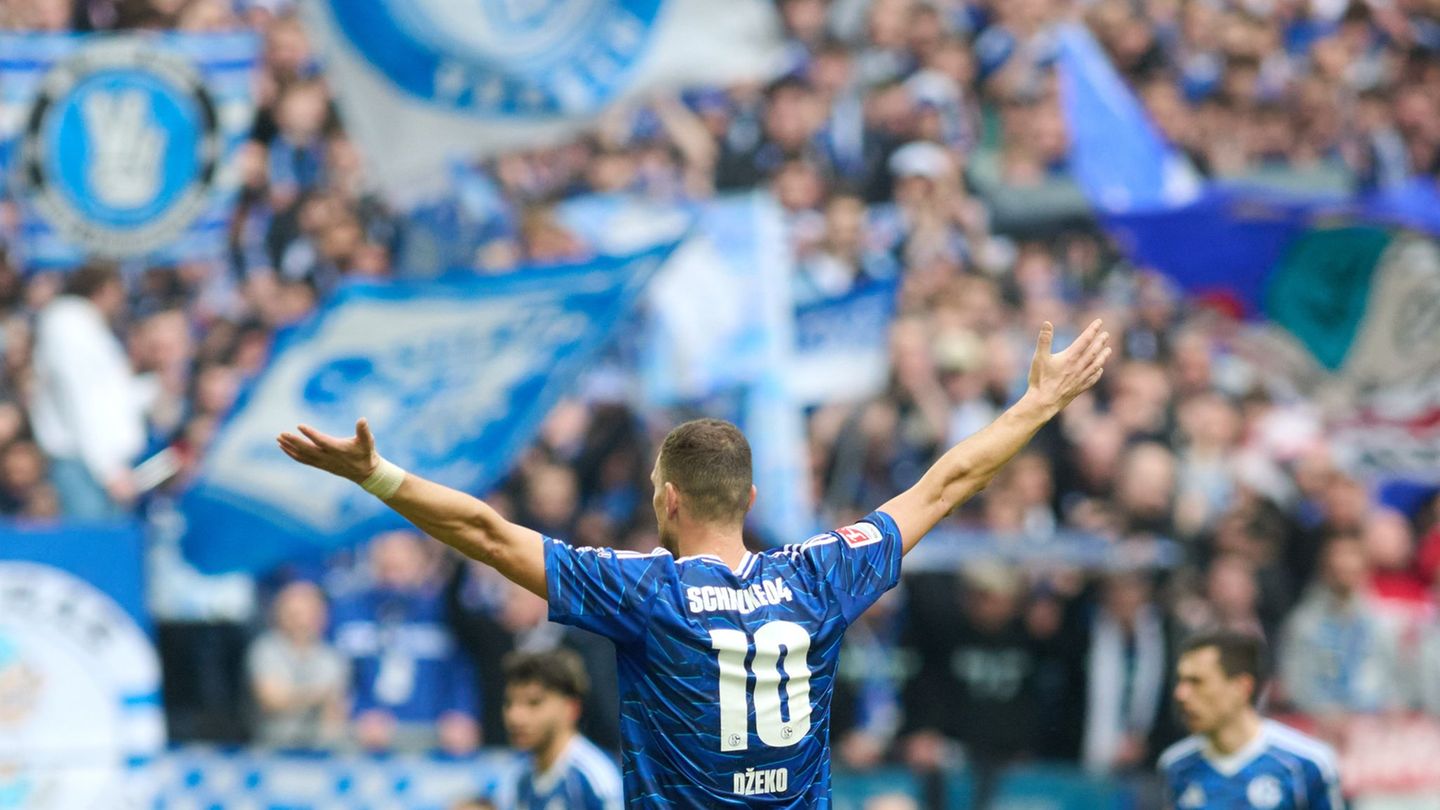 Stürmer-Star Edin Dzeko traf bei seinem Startelf-Debüt für Schalke 04 zweimal. Foto: Bernd Thissen/dpa