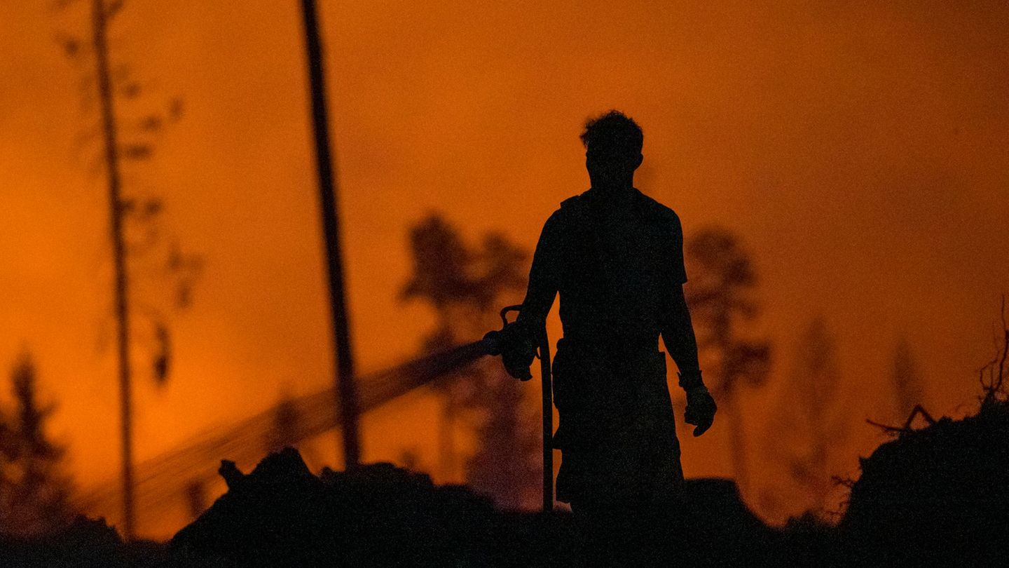 In Thüringen wurden 2025 deutlich mehr Waldbrände gezählt als im Jahr zuvor, besonders der Brand auf der Saalfelder Höhe machte