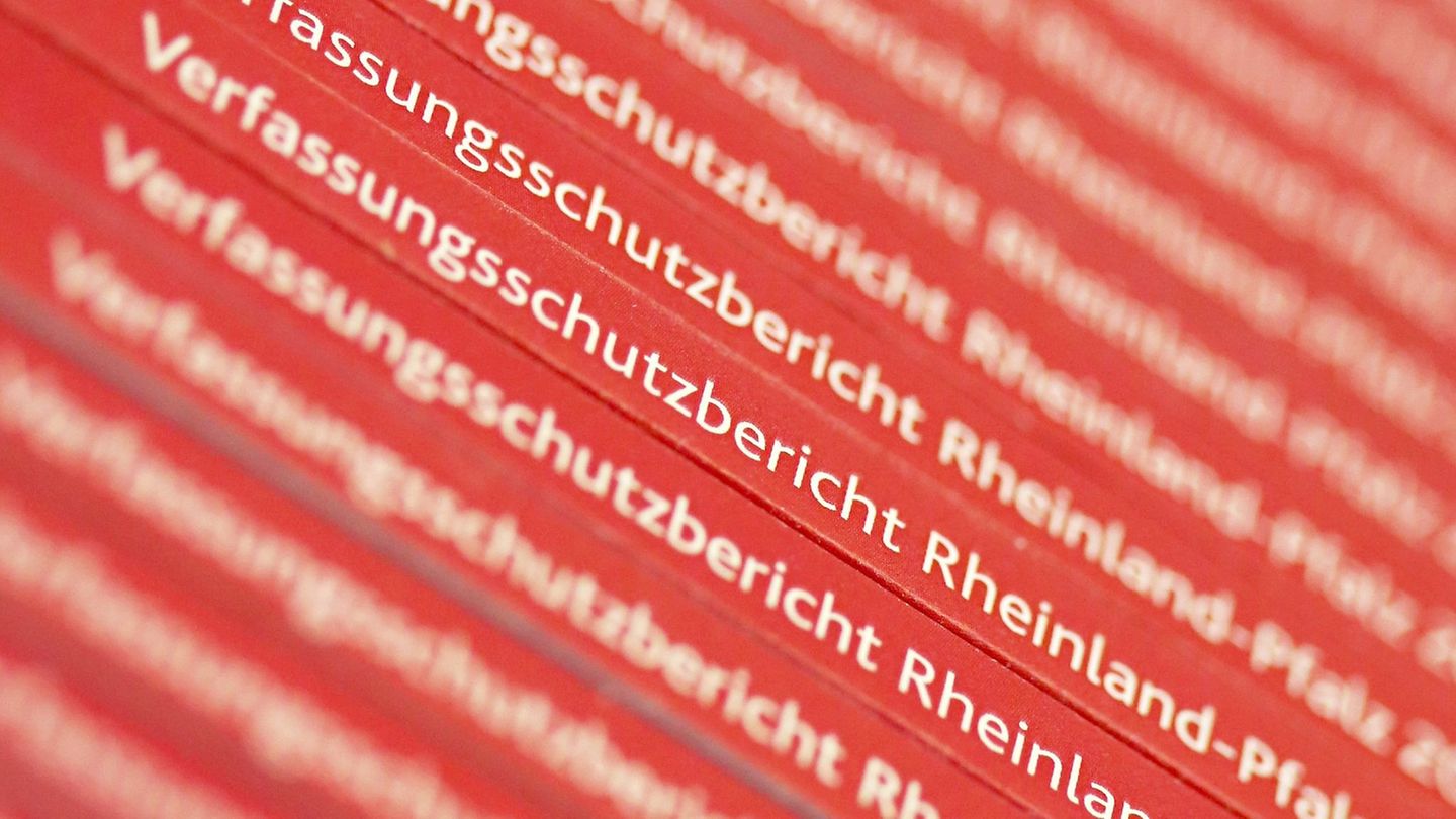 Bundesweit werden der Partei "Der Dritte Weg" mehr als 800 Personen zugerechnet. (Symbolbild) Foto: Fredrik von Erichsen/dpa