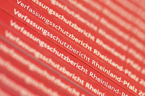 Bundesweit werden der Partei "Der Dritte Weg" mehr als 800 Personen zugerechnet. (Symbolbild) Foto: Fredrik von Erichsen/dpa