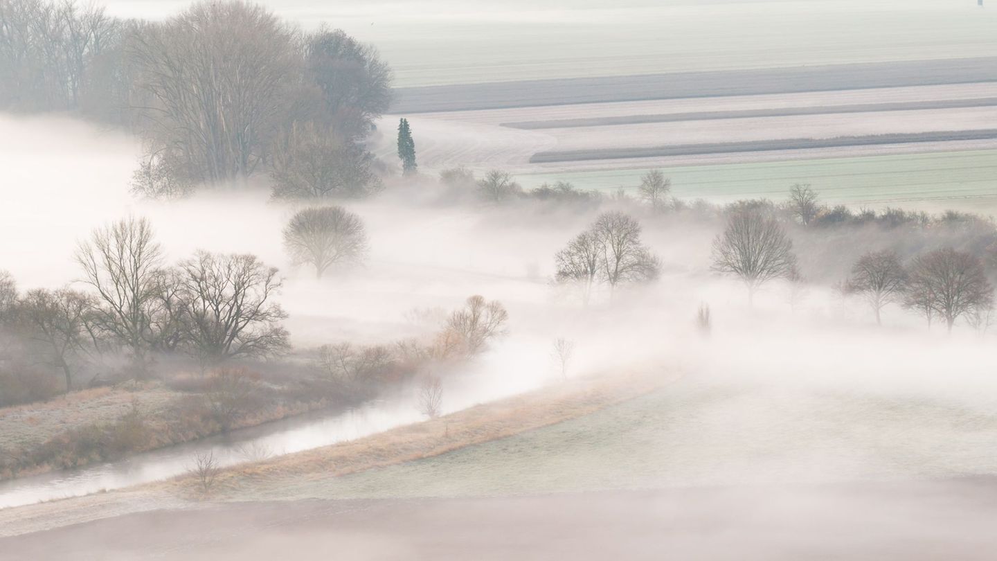 Die kommende Woche bringt Nebel in Niedersachsen und Bremen. (Archivbild) Foto: Julian Stratenschulte/dpa