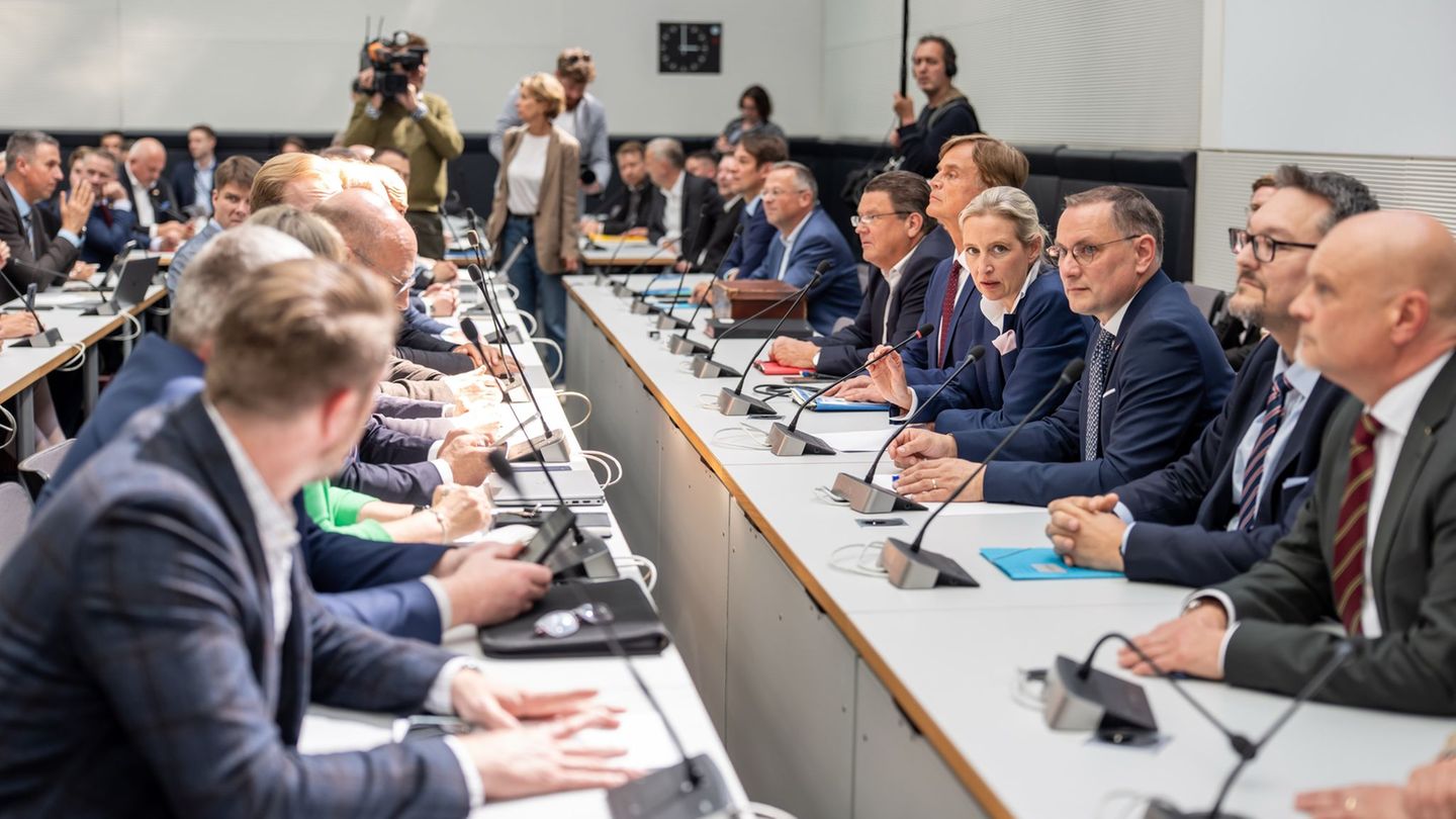 Die AfD-Fraktion sieht sich benachteiligt durch die Entscheidungen. (Archivfoto) Foto: Michael Kappeler/dpa