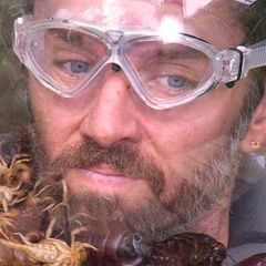 Dschungelcamp – Stars leiden in Final-Prüfungen