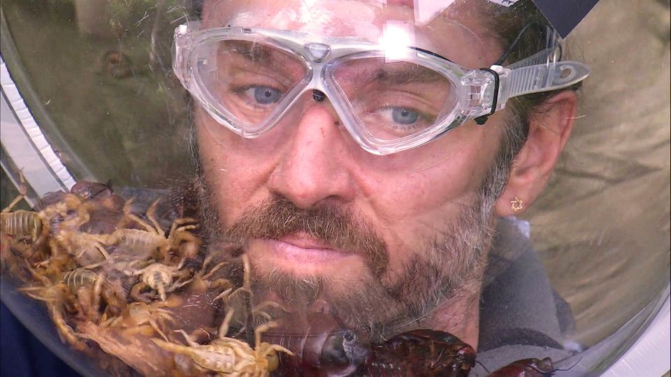 Dschungelcamp – Stars leiden in Final-Prüfungen