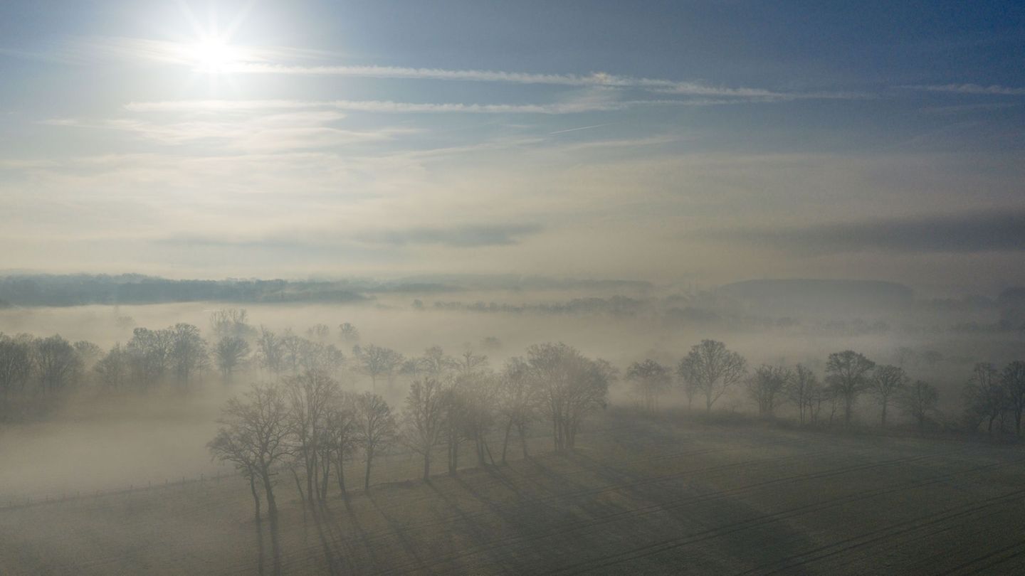 Nebel liegt über Feldern bei Dorsten. Foto: Christoph Reichwein/dpa