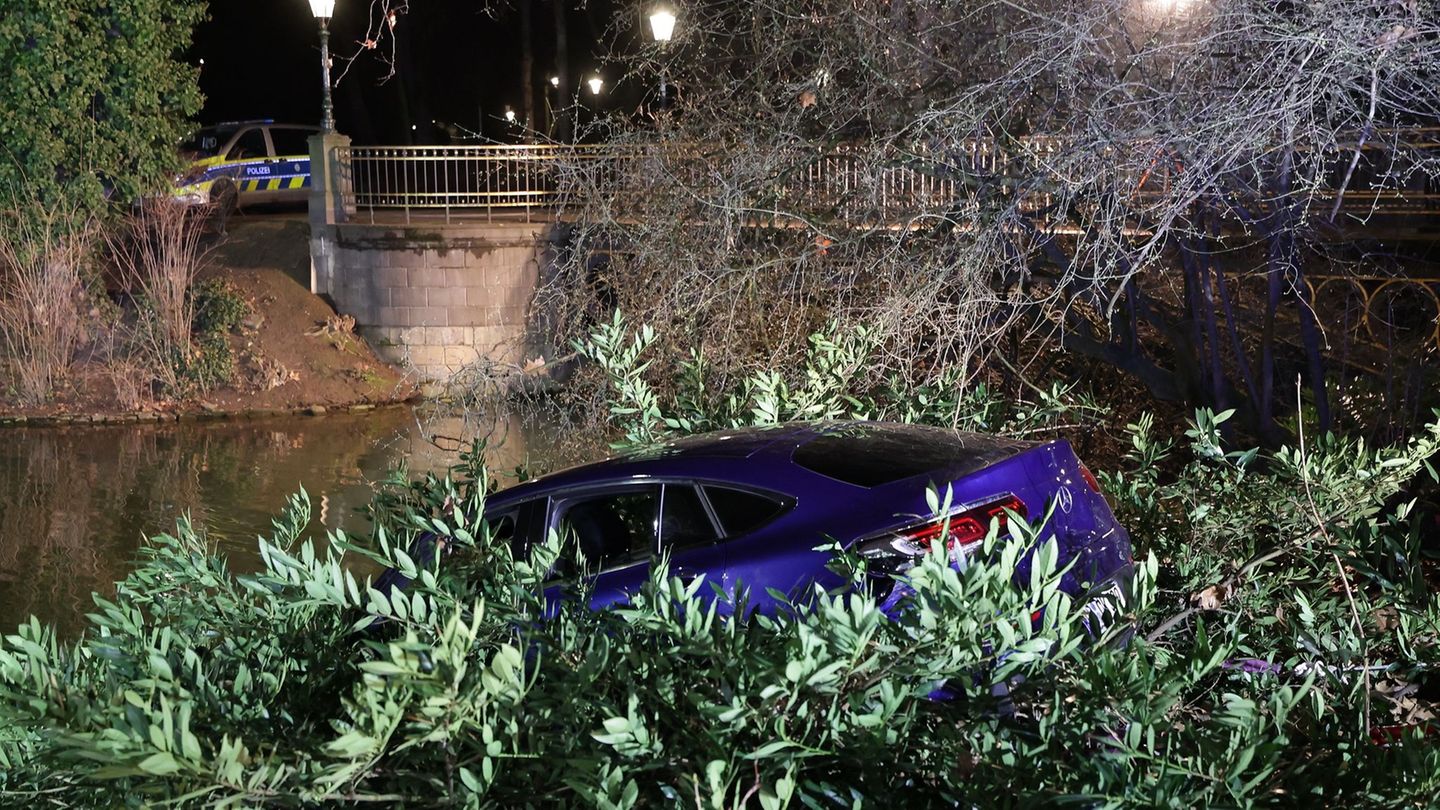 Die Flucht endete abrupt in einem Teich. Foto: D.J.Young/dpa