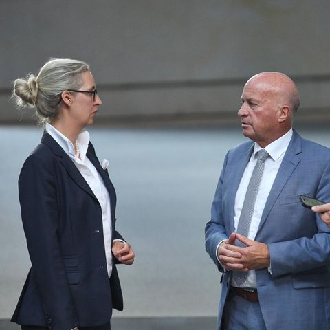 AfD-Chefin Weidel, Verteidigungspolitiker Lucassen