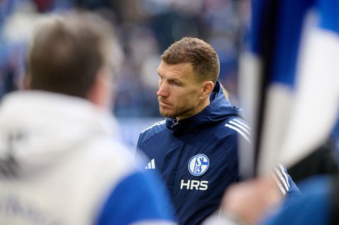 Zwei Tore von Schalkes Edin Dzeko reichten nicht für den Sieg. Foto: Bernd Thissen/dpa