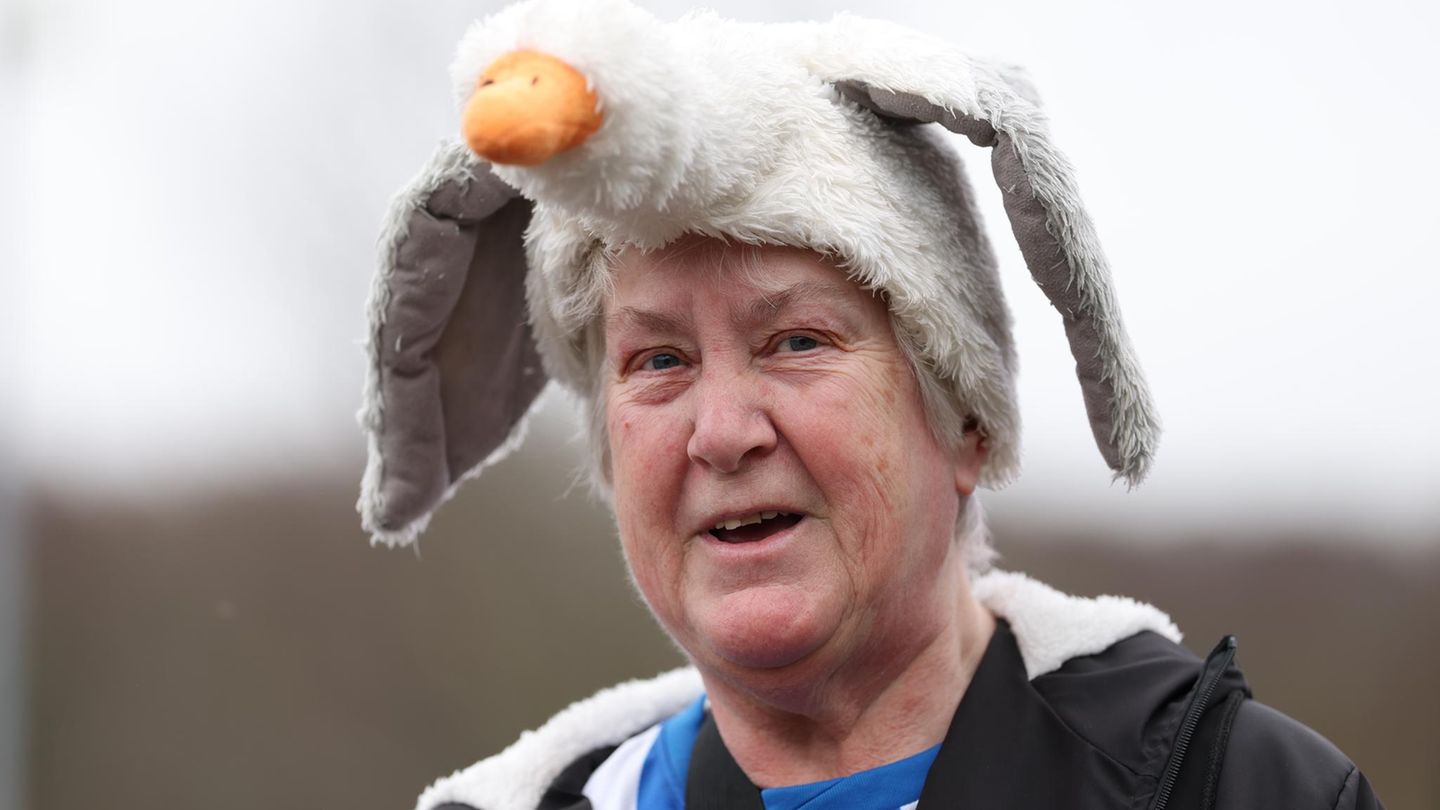 Brighton, England. Ein Fan des Fußball-Teams von Brighton & Hove Albion trägt am Stadion vor dem Premier-League-Spiel der Männer zwischen Brighton & Hove Albion und Crystal Palace im Amex Stadium einen Möwenhut