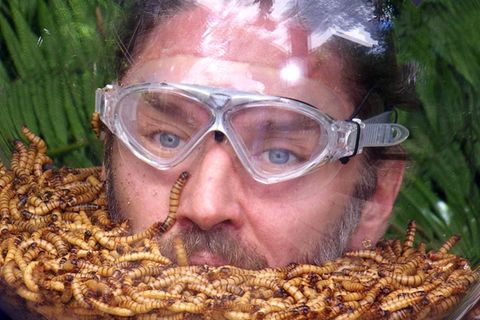 Im Dschungelcamp-Finale steht Gil Ofarim mit einem Helm voller Mehlwürmer vor der ersten Aufgabe