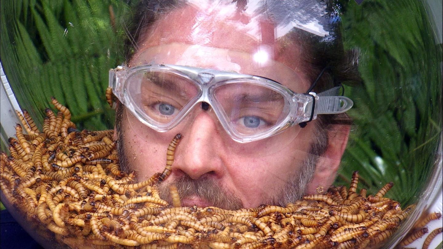 Dschungelcamp-2026-Gil-st-rzt-sich-mit-Mehlw-rmern-im-Helm-auf-die-erste-Aufgabe