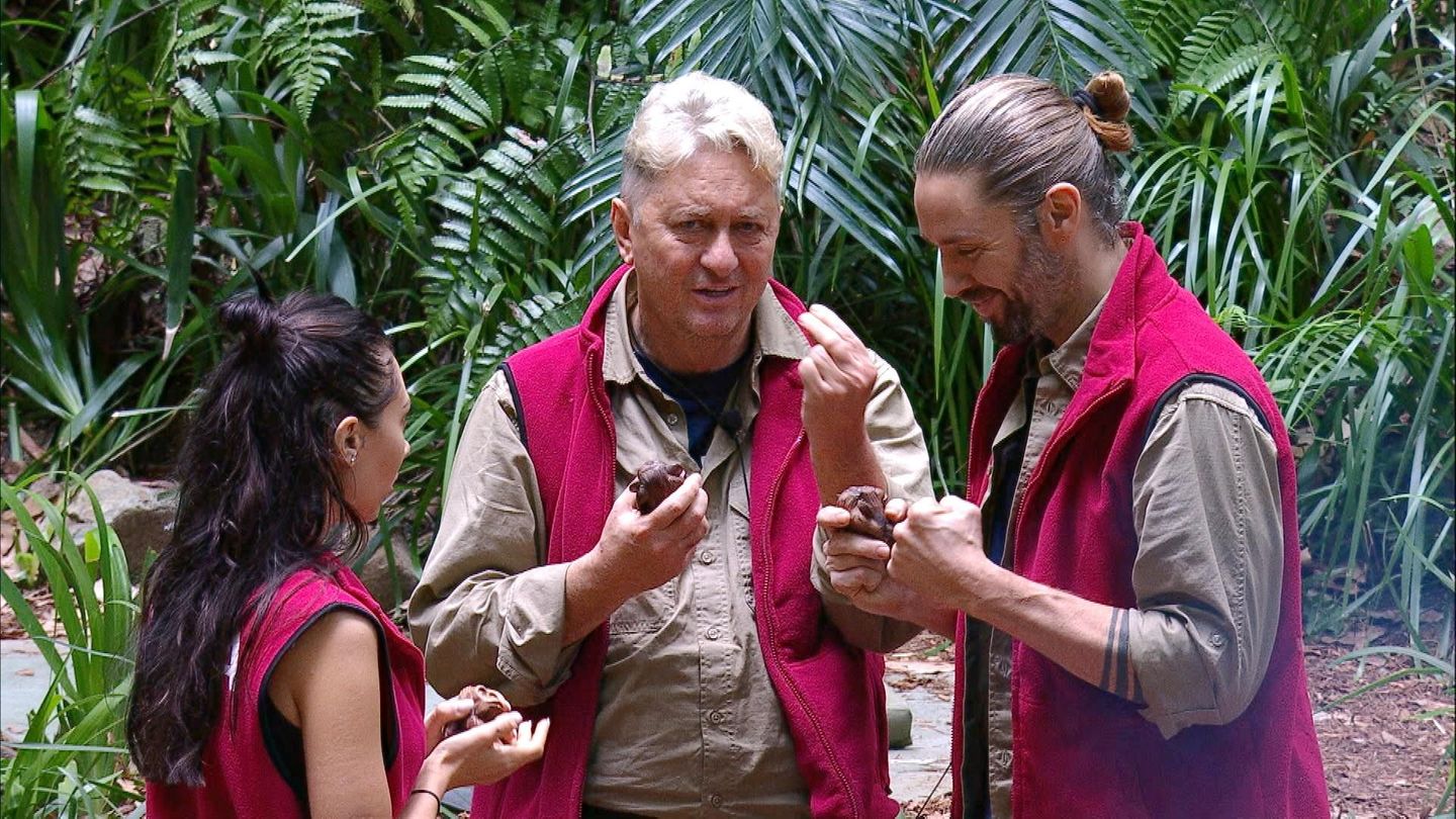 Im Dschungelcamp-Finale geht es für die verbliebenen Teilnehmer los mit Mehlwürmern und Schlangen