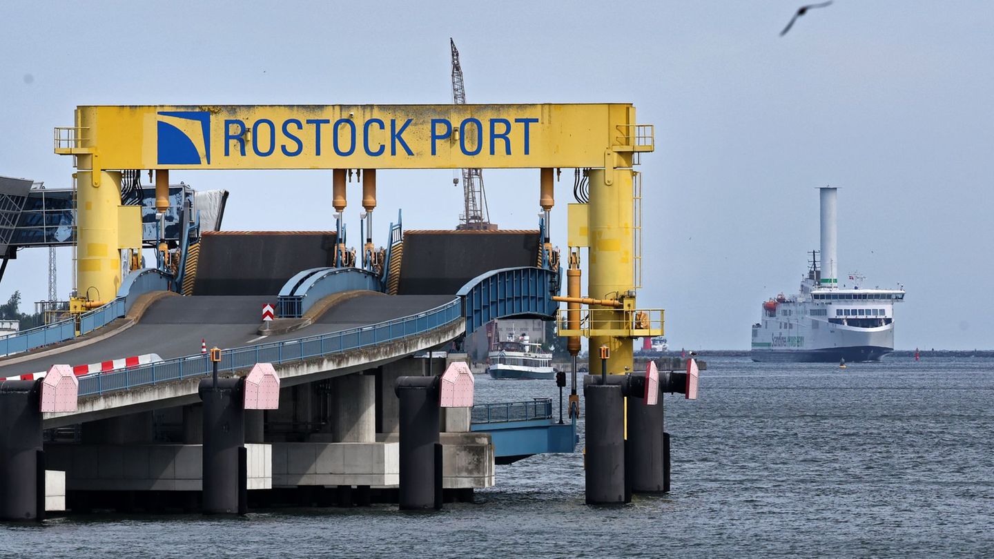 Auch am Überseehafen Rostock gibt es stichprobenartige Einreisekontrollen. Foto: Bernd Wüstneck/dpa